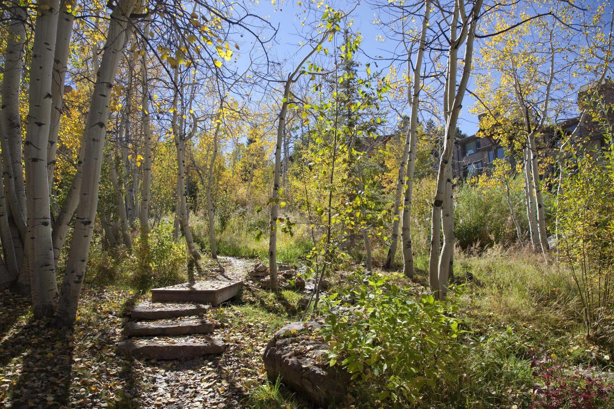 Terracehouse - Coraltree Residence Collection Snowmass Village Exterior photo